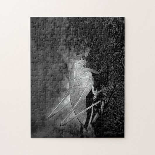 Puzzle Katydid Grasshopper En Noir Et Blanc Nature (Vertical)
