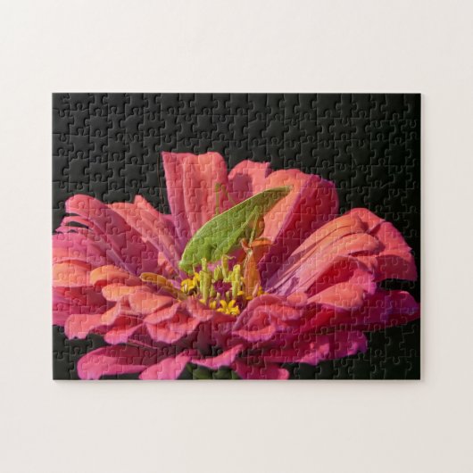 Puzzle Katydid sur Zinnia (Horizontal)
