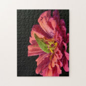 Puzzle Katydid sur Zinnia (Vertical)
