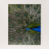 Puzzle Kauai Peacock (Vertical)