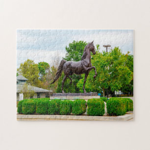 Puzzle Kentucky Horse Park Lexington.