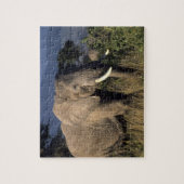 Puzzle Kenya : Amboseli, éléphant africain masculin (Vertical)