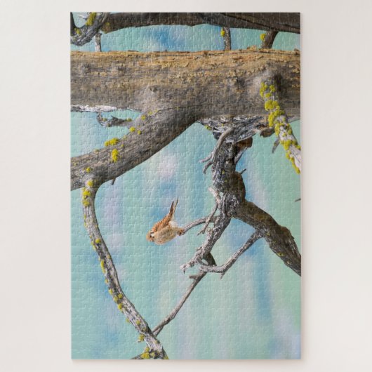 Puzzle Kestrel américain (Vertical)