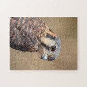 Puzzle Kestrel américain (Horizontal)