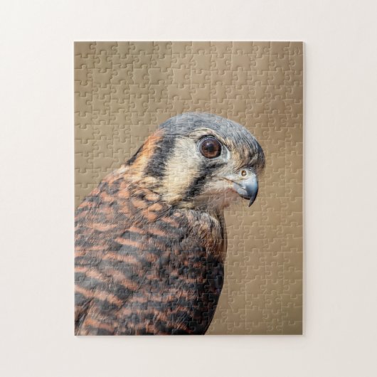 Puzzle Kestrel américain (Vertical)