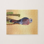 Puzzle Kestrel, Falco sparverius, Native de US & Canada (Horizontal)