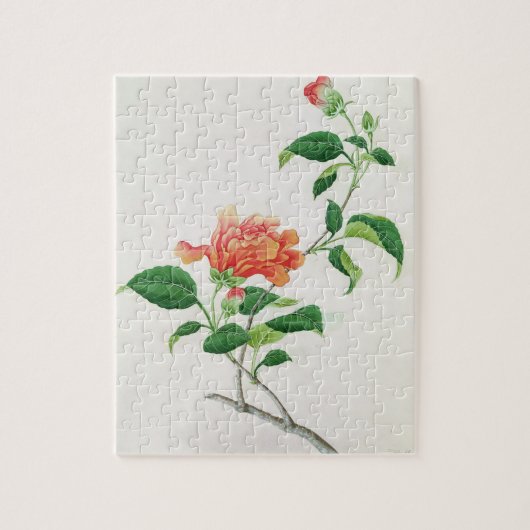 Puzzle Ketmie (Vertical)