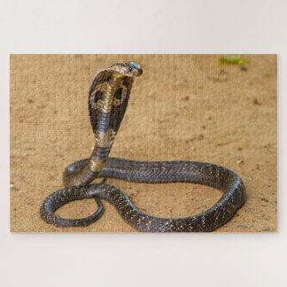 Puzzle King Cobra