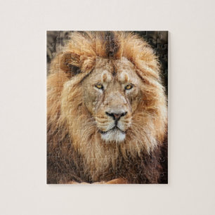 Puzzle King Lion Photograph