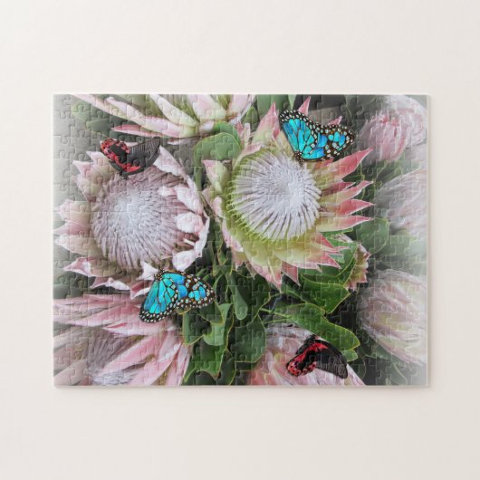 Puzzle King Protea (Horizontal)