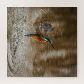 Puzzle Kingfisher Bird Sortir de l'eau Photo (Horizontal)