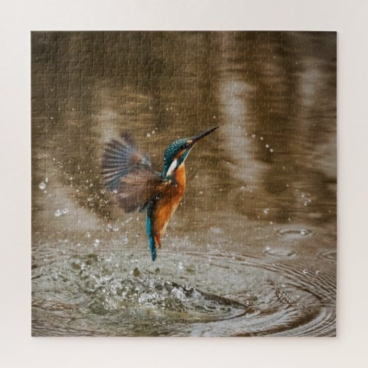 Puzzle Kingfisher Bird Sortir de l'eau Photo (Vertical)