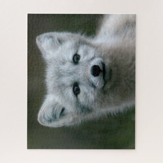 Puzzle Kit de Fox arctique des images | de Getty (Vertical)