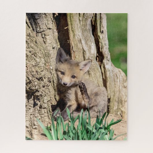Puzzle Kit Fox dans la vallée de l'Hudson (Vertical)
