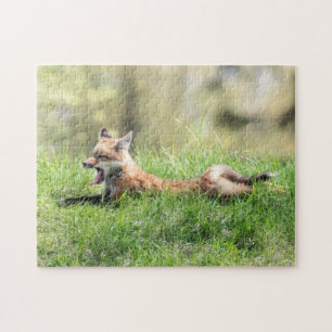 Puzzle Kit Red Fox