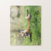 Puzzle Kit Red Fox (Vertical)