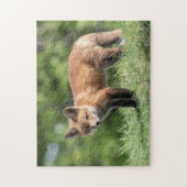 Puzzle Kit Red Fox (Vertical)