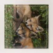 Puzzle Kits de Fox (Horizontal)