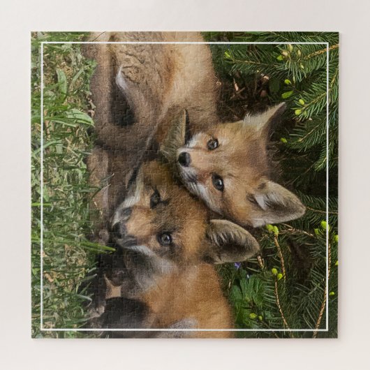 Puzzle Kits de Fox (Horizontal)