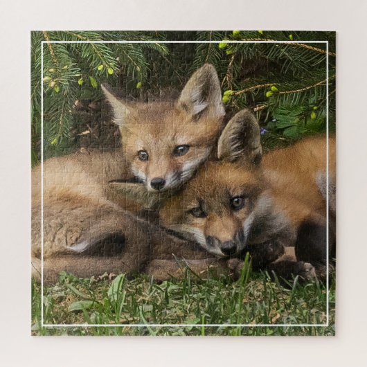 Puzzle Kits de Fox (Vertical)