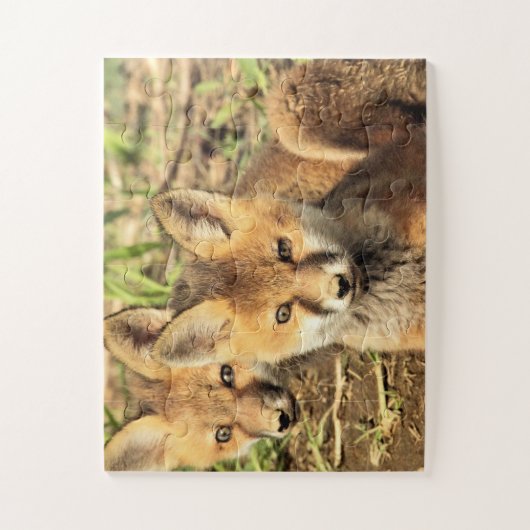 Puzzle Kits Red Fox (Vertical)