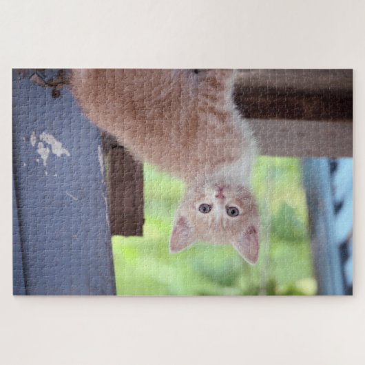 Puzzle Kitten (Horizontal)