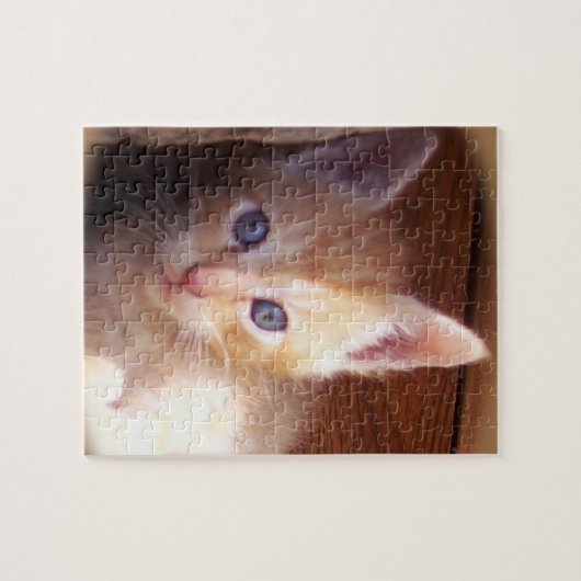 Puzzle Kitten (Horizontal)