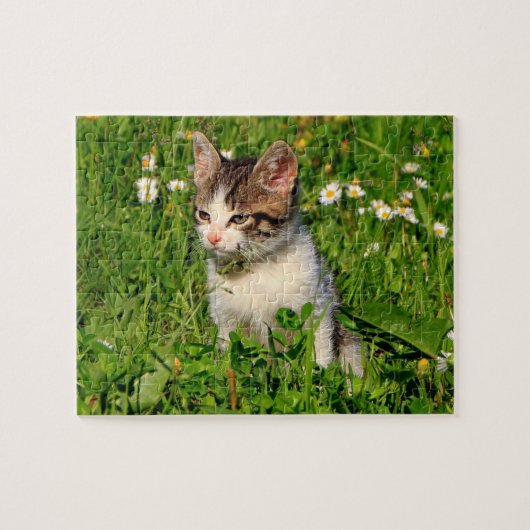 Puzzle Kitten (Horizontal)