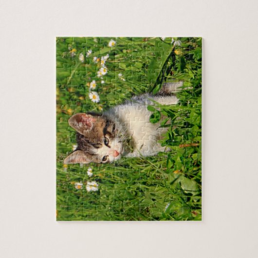 Puzzle Kitten (Vertical)