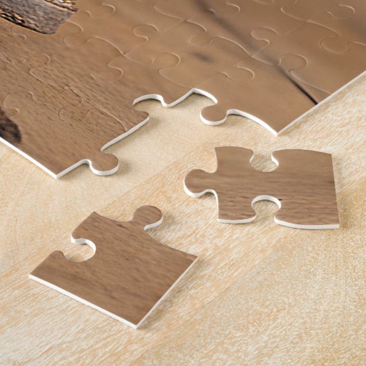 Puzzle Kitten Dans Vieux Boot (Côté)