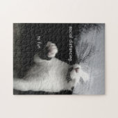Puzzle Kitten Distances Sociales (Horizontal)