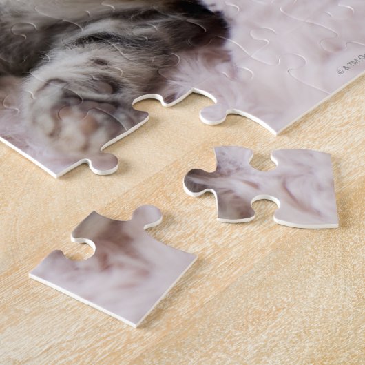Puzzle Kitten Dormir sur la serviette (Côté)
