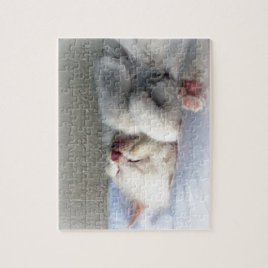 Puzzle Kitten endormi (Vertical)