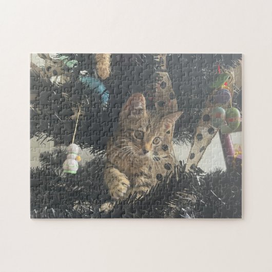 Puzzle Kitten Photo Animal Pet Cat (Horizontal)