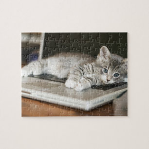 Puzzle Kitten reposant sur ordinateur portable