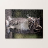 Puzzle Kitten Standing Tall (Horizontal)