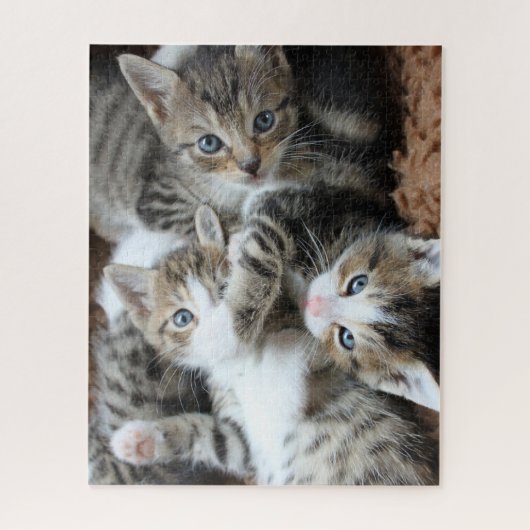 Puzzle Kittens Jigsaw (Vertical)