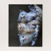 Puzzle Kittens Jigsaw (Vertical)