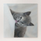 Puzzle Kitts gris Licking Neige (Horizontal)