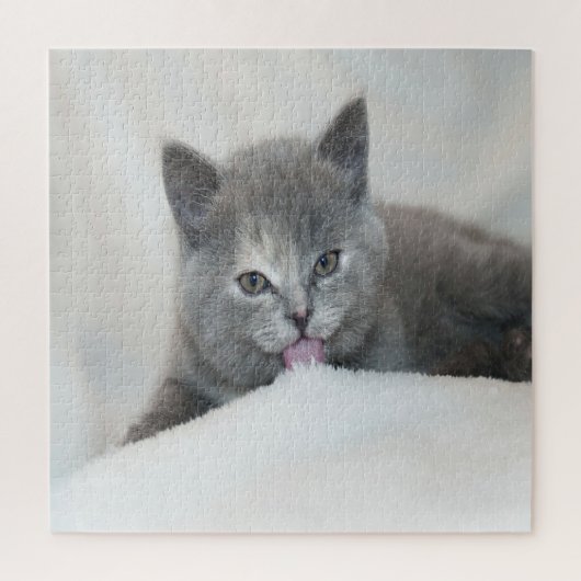 Puzzle Kitts gris Licking Neige (Vertical)