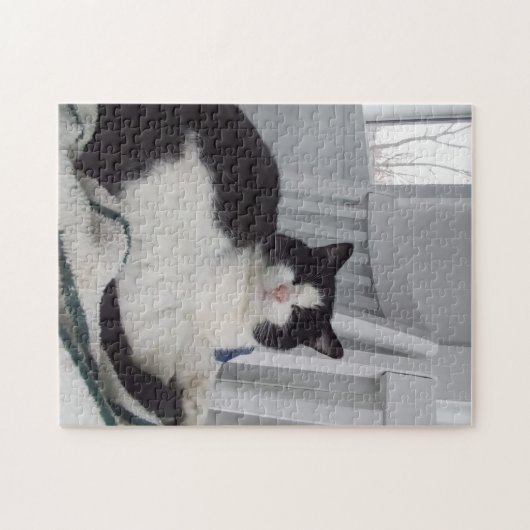 Puzzle Kitty Jigsaw (Horizontal)