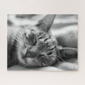 Puzzle Kitty noir et blanc (Horizontal)
