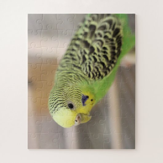 Puzzle Kiwi (Vertical)