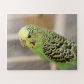 Puzzle Kiwi (Horizontal)