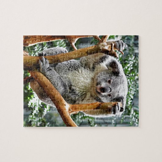 Puzzle Koala (Horizontal)
