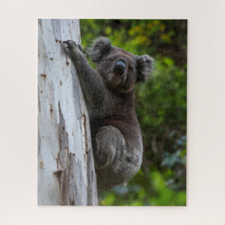 Puzzle Koala Australia Wildlife Photo, 520 pieces