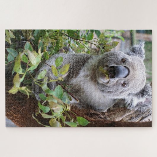 Puzzle Koala Bear (Horizontal)