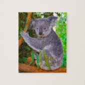 Puzzle Koala Bears (Vertical)