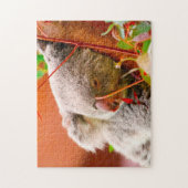 Puzzle Koala Bears. (Vertical)