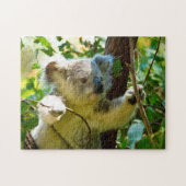 Puzzle Koala Bears. (Horizontal)
